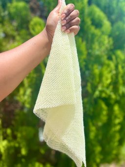 African Net Sponge