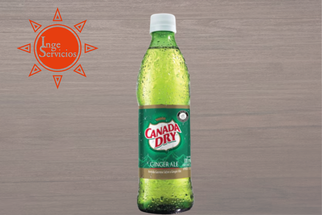 GINGER CANADA DRY 