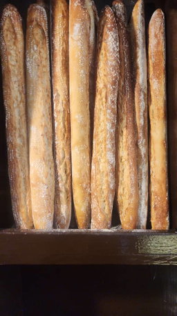 Plain baguette 