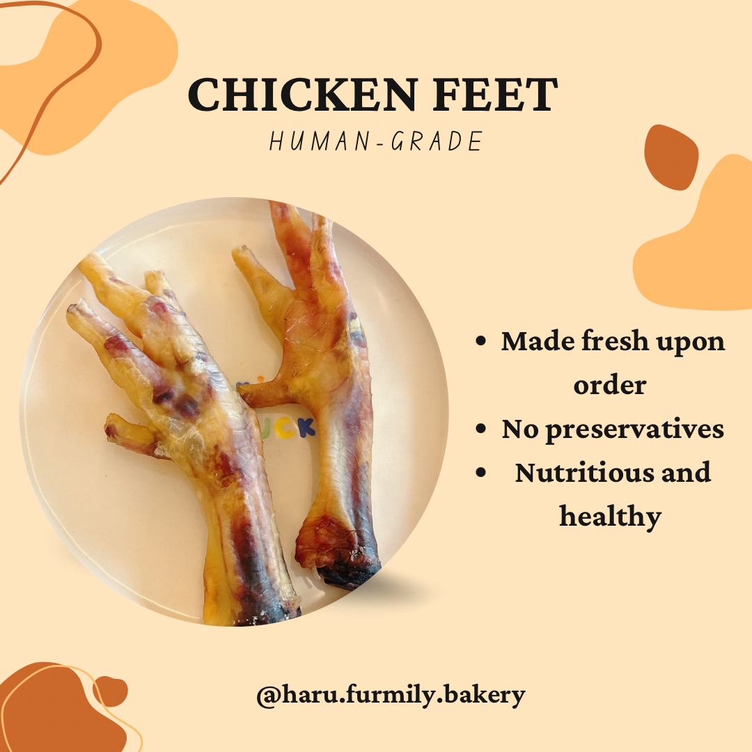 Chicken Feet_0