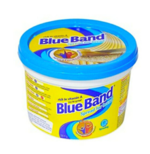 Blue Band Salé 450g – ARTICLE N°:DNZ_0004_0