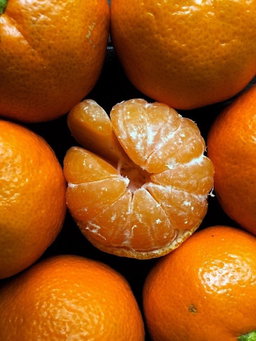 Mandarinas (5 pack)