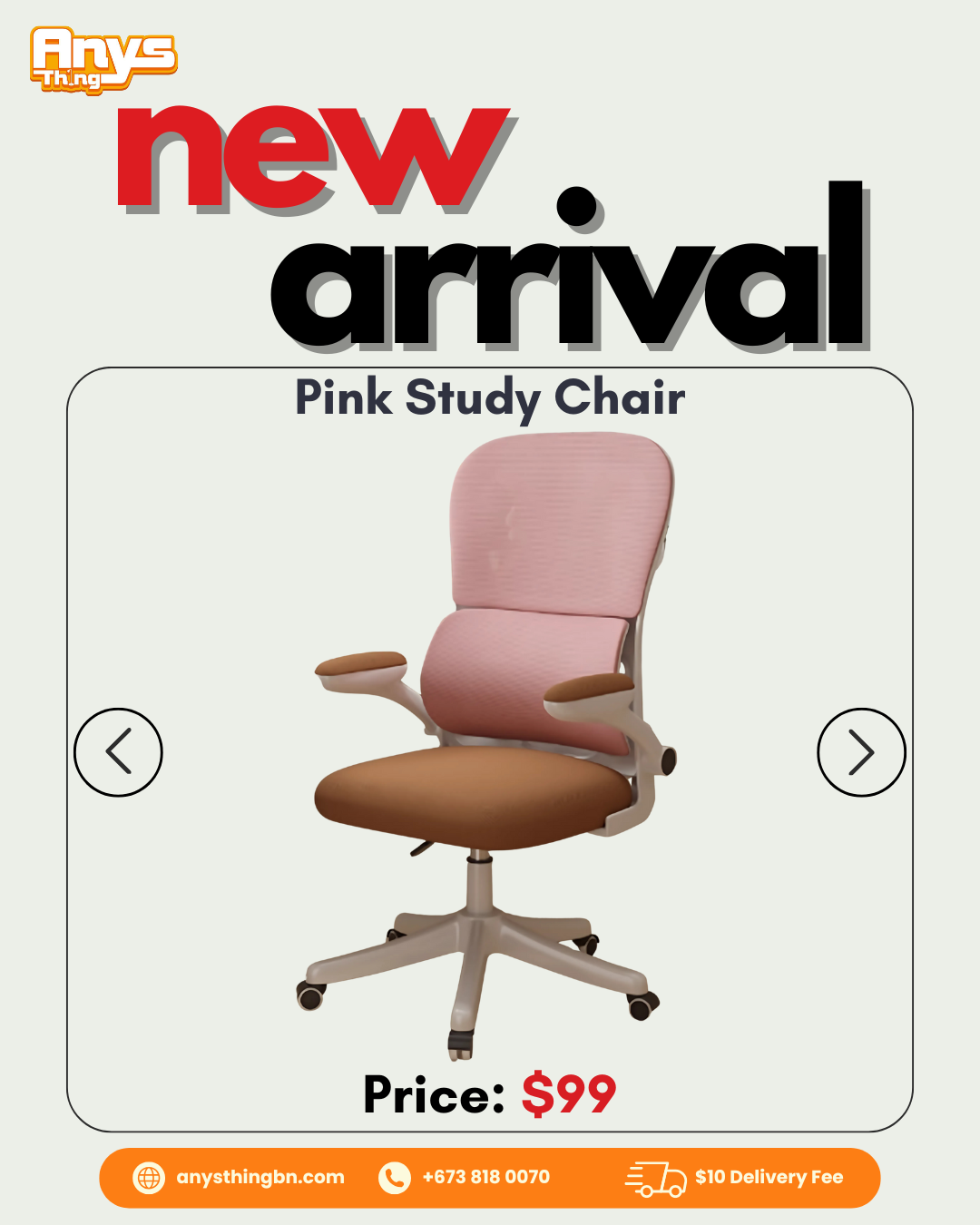 Pink Study Chair_0