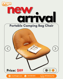 Portable Camping Bag Chair