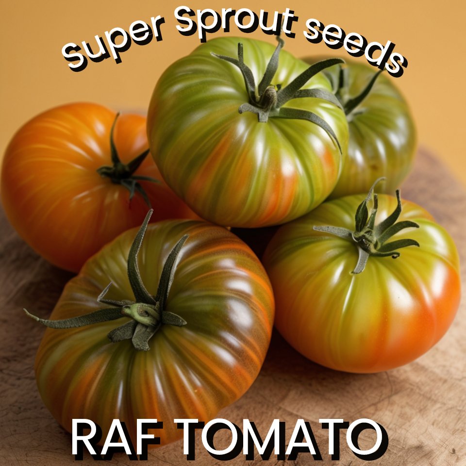 RAF TOMATO x 10 seeds_2
