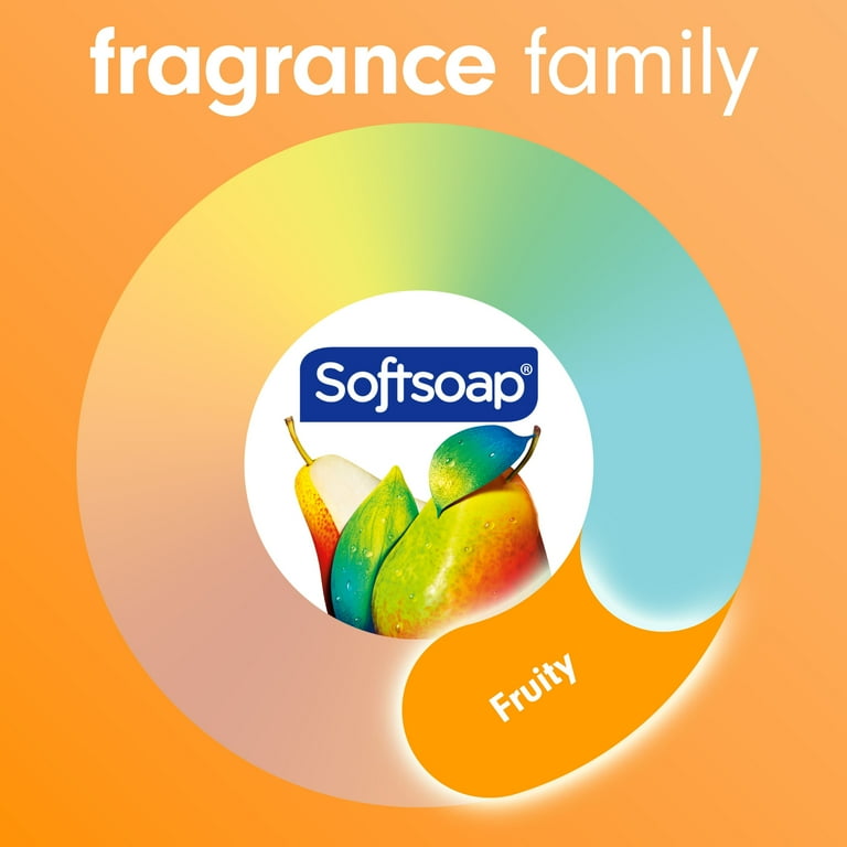 Softsoap Moisturizing Body Wash, All Skin Types, Juicy Pomegranate and Mango, 20 fl oz Bottle_2