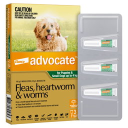 Advocate for Cats & Dogs