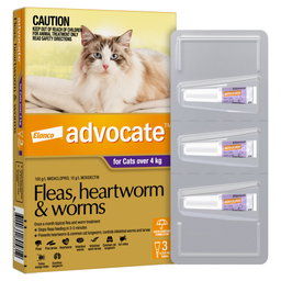 Advocate for Cats & Dogs