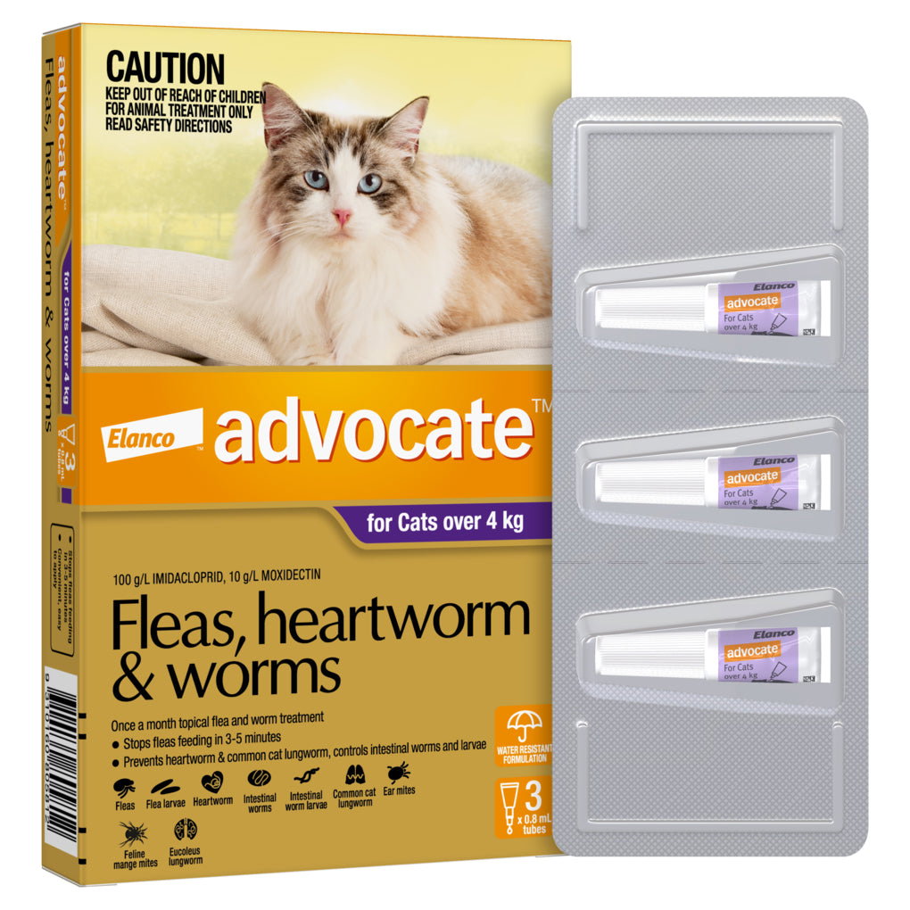 Advocate for Cats & Dogs