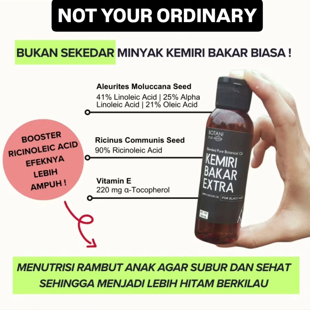 MINYAK KEMIRI BAKAR_2