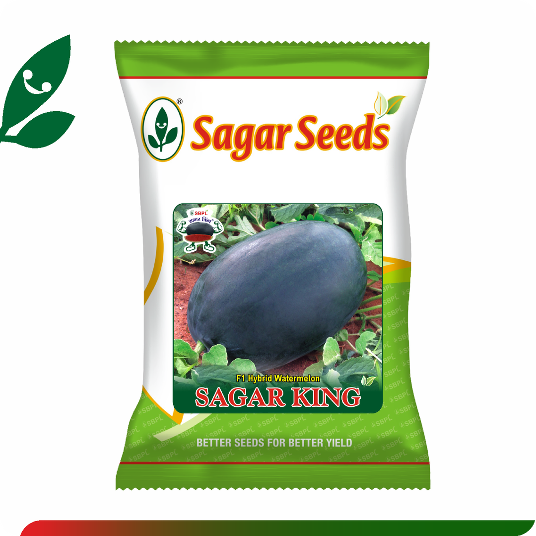 Sagar King 