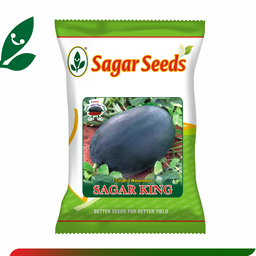Sagar King 