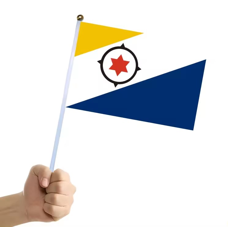 2025090603 Hand Flags 