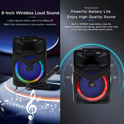 8" BLUETOOH KARAOKE SPEAKER TTD818