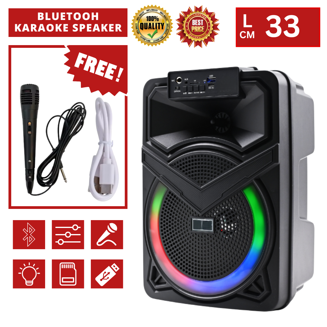 8" BLUETOOH KARAOKE SPEAKER TTD818