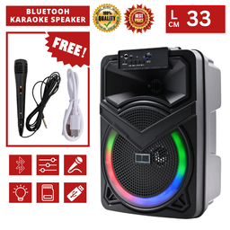 8" BLUETOOH KARAOKE SPEAKER TTD818