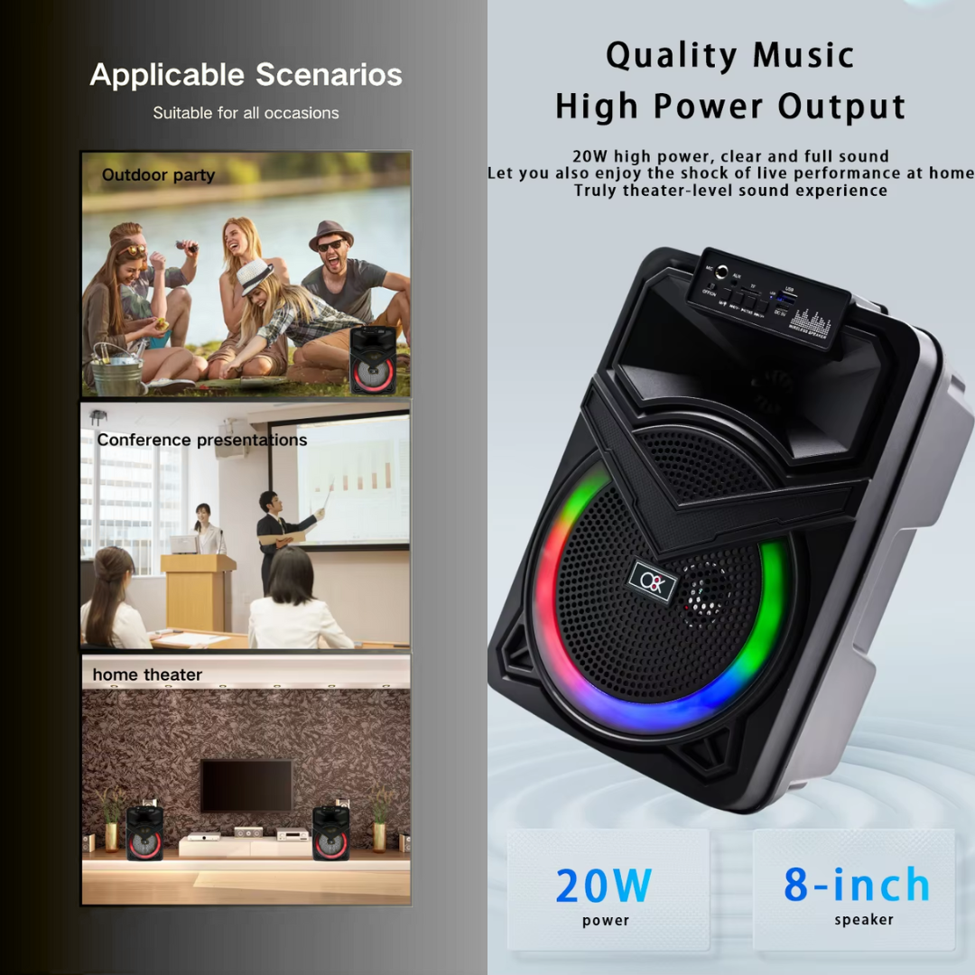 8" BLUETOOH KARAOKE SPEAKER TTD818_2
