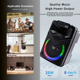 8" BLUETOOH KARAOKE SPEAKER TTD818
