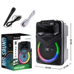 8" BLUETOOH KARAOKE SPEAKER TTD818