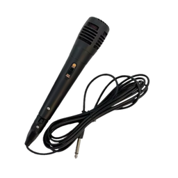 8" BLUETOOH KARAOKE SPEAKER TTD818
