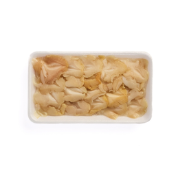 Tsubugai 壺貝 (20 pcs)