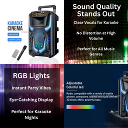 8.5" BLUETOOTH KARAOKE SPEAKER  TTD8259