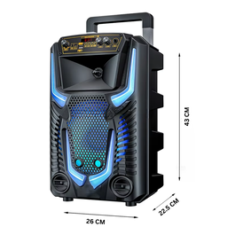 8.5" BLUETOOTH KARAOKE SPEAKER  TTD8259