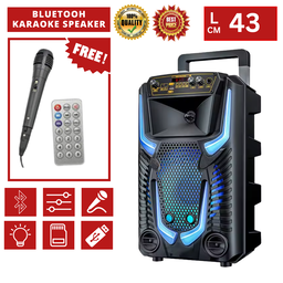 8.5" BLUETOOTH KARAOKE SPEAKER  TTD8259