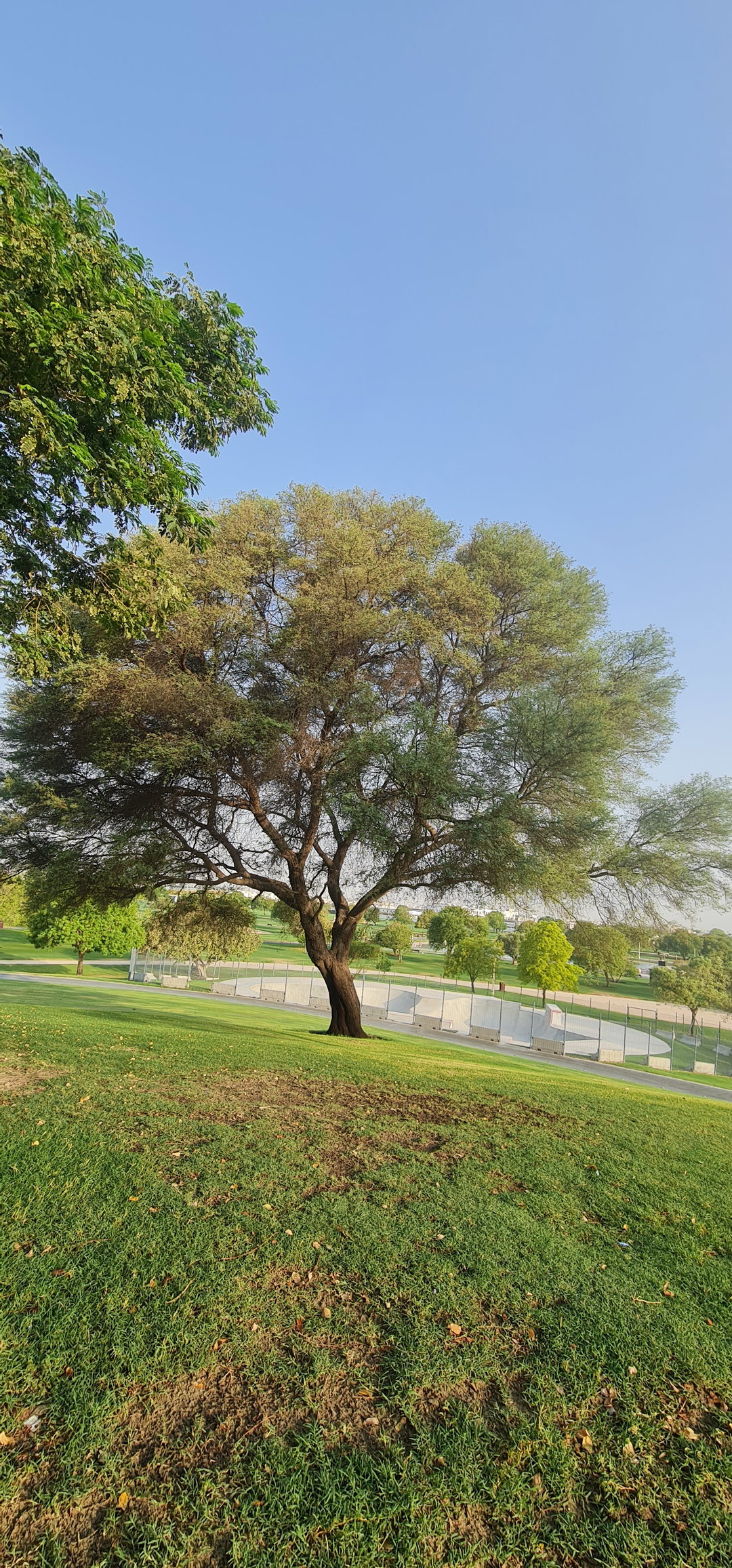 Test 2