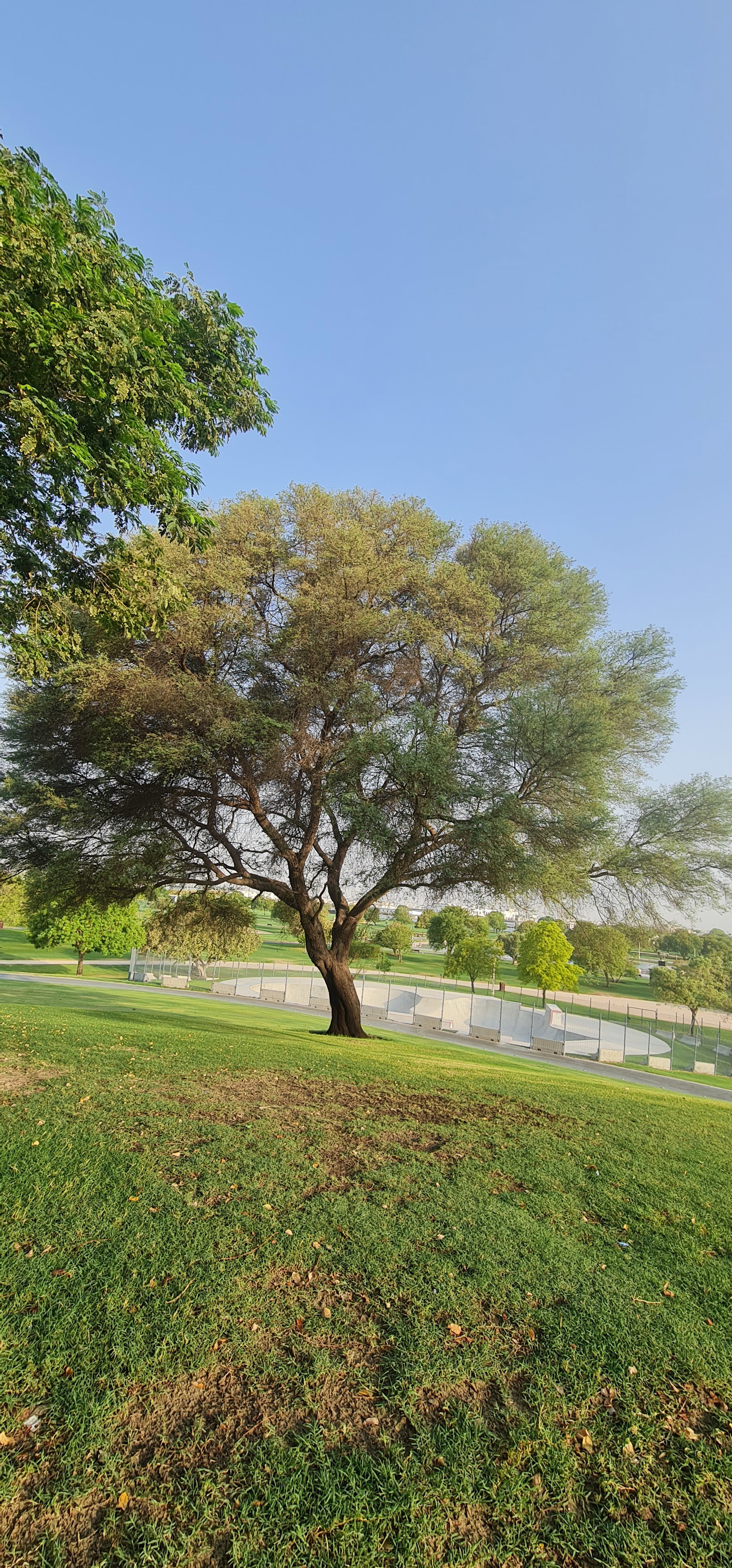Test 2_0