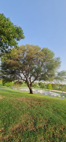 Test 2