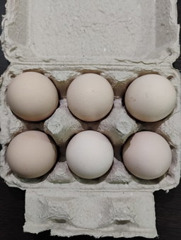 Natu Guddu (Desi eggs) 6PCS 