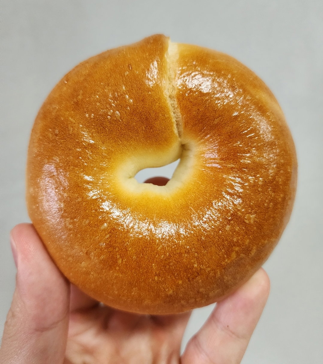 Plain Bagel