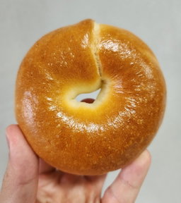 Bagel Series