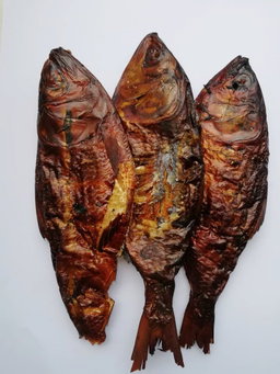 Bonga Fish