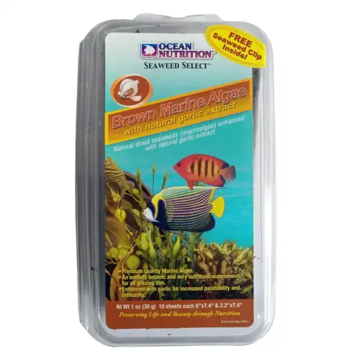 Ocean Nutrition Brown Marine Algae_0