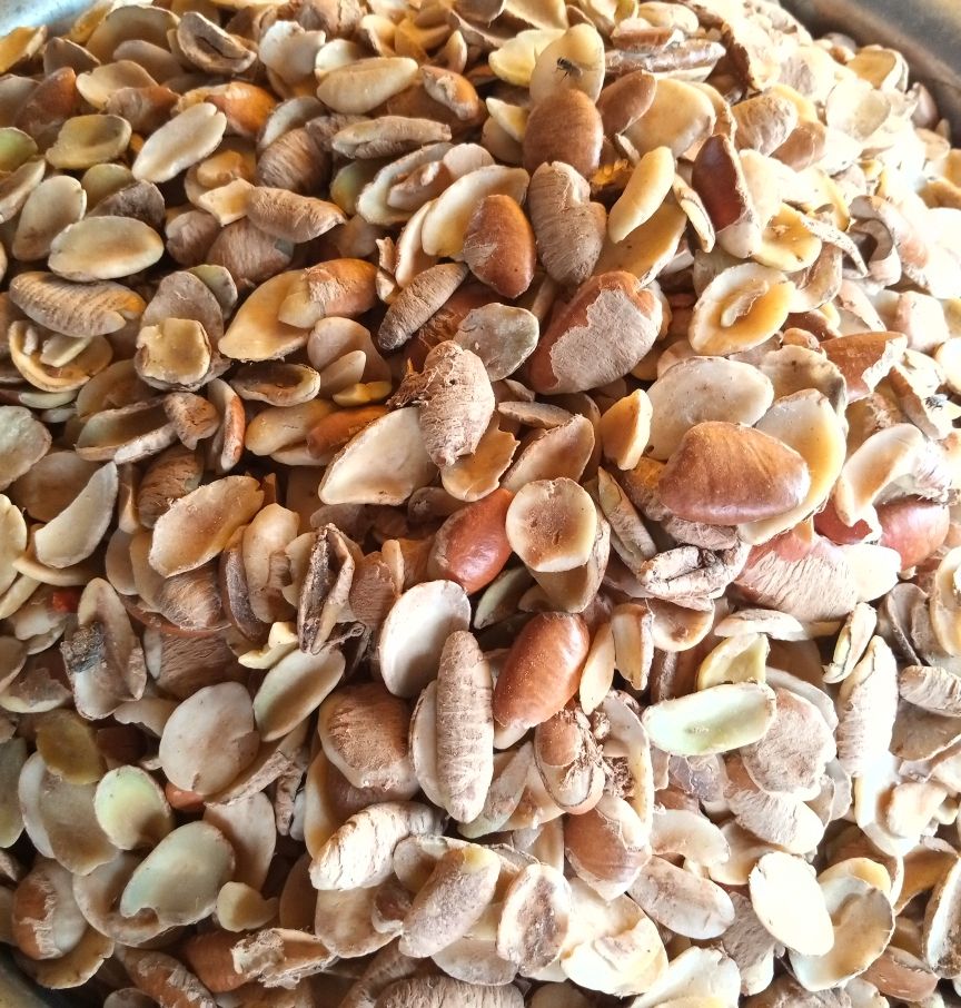 Ogbono Seeds_2