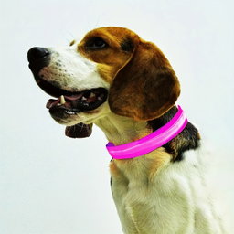 LED Glow-In-The-Dark Pet Collar, Battery Powered (Additional 25% off on every 2 units bought)