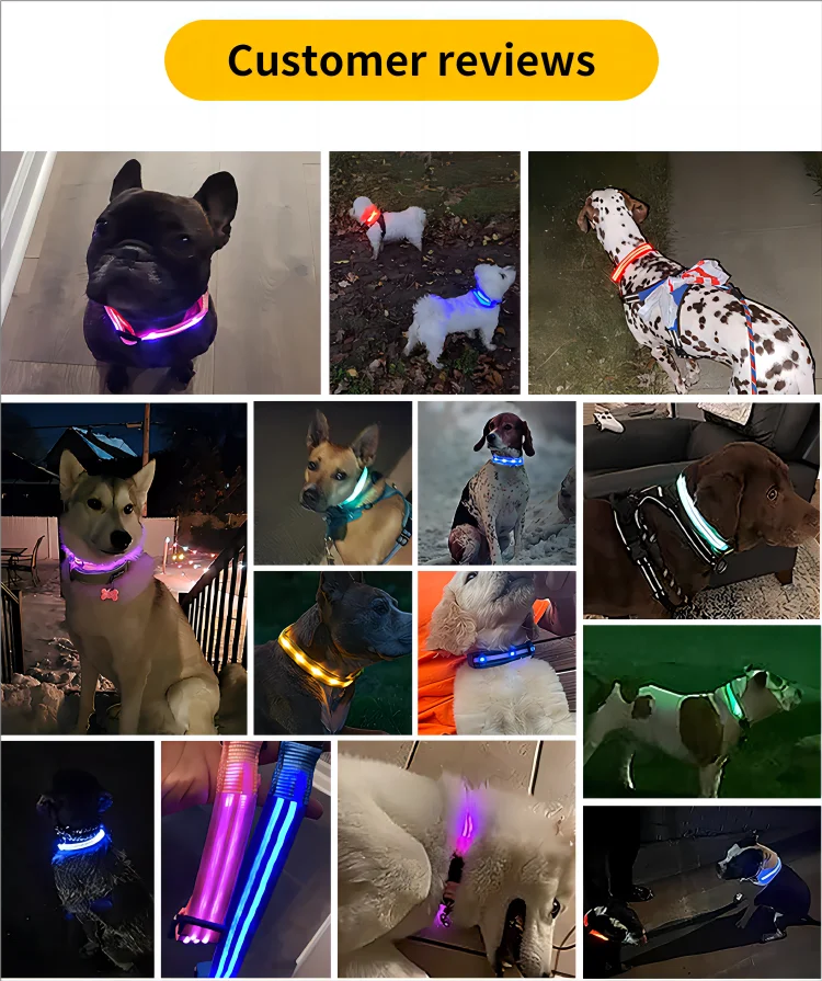 LED Glow-In-The-Dark Pet Collar, Battery Powered (Additional 25% off on every 2 units bought)_5