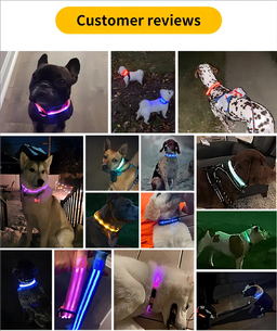 LED Glow-In-The-Dark Pet Collar, Battery Powered (Additional 25% off on every 2 units bought)