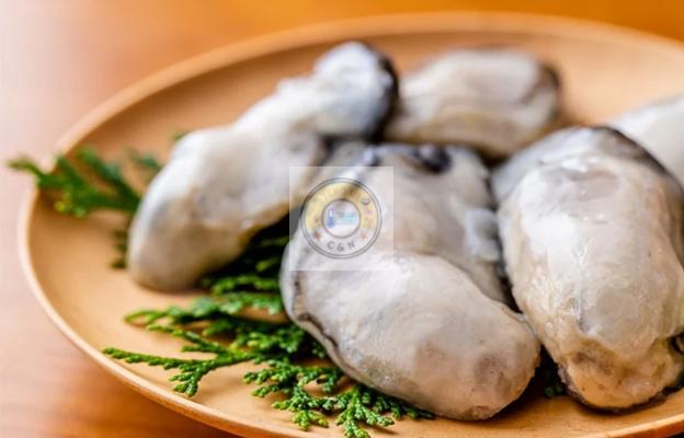 QUICK Frozen Oysters_1