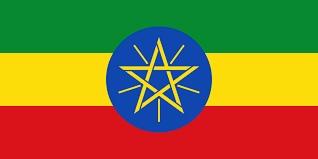 Ethiopia : Samii Banko Gotiti, Washed Process