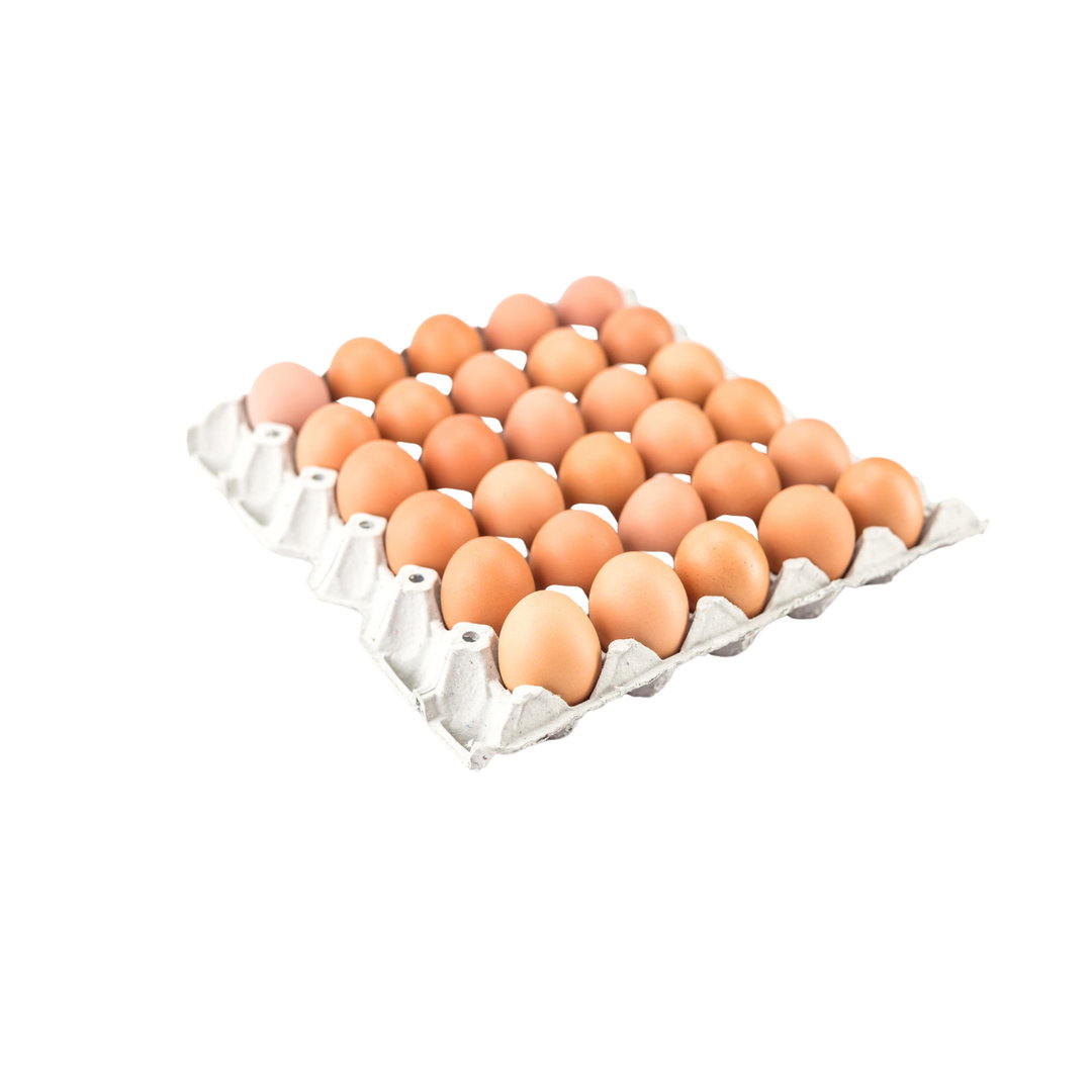 Farm Fresh - XL Brown Eggs (Tray of 30 eggs)