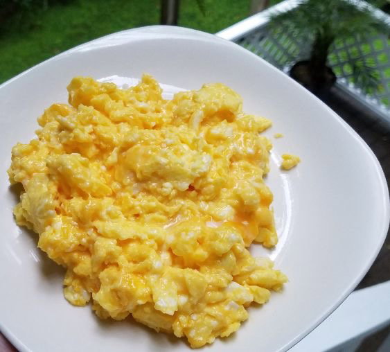 SCRAMBLED EGG
