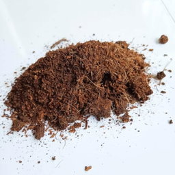 Cocopeat (කොහුබත්)