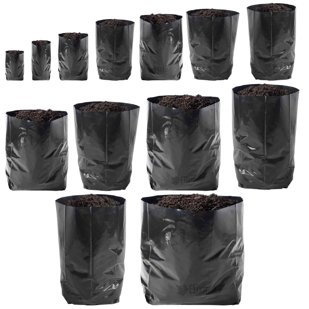 Grow Bags | Black (Size 16 & above)