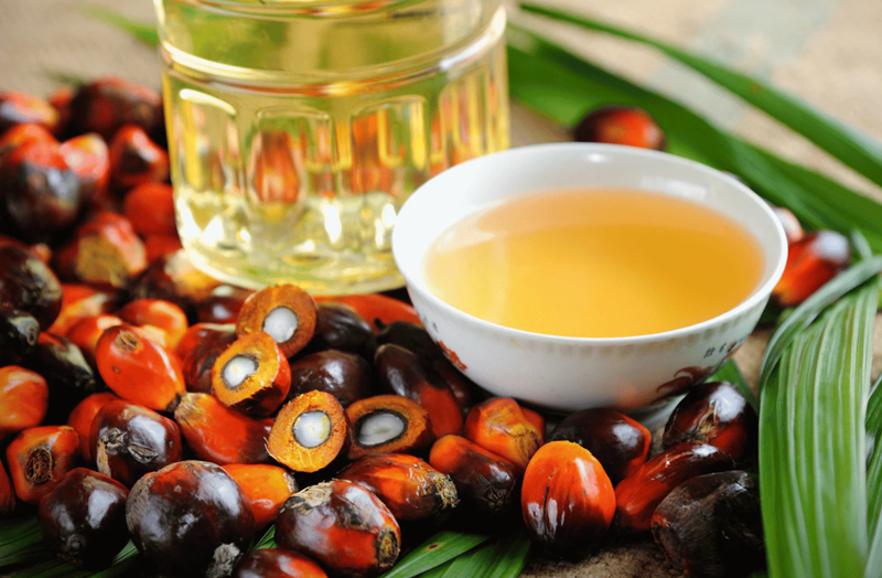 Aceite de Batana._1