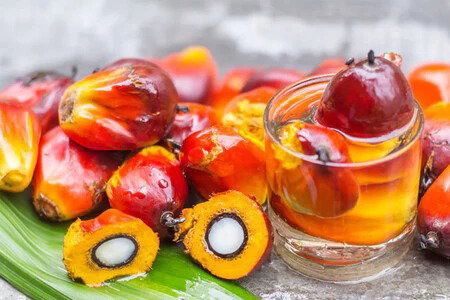 Aceite de Batana._0