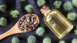 Aceite de Castor o Ricino Hidrogenado