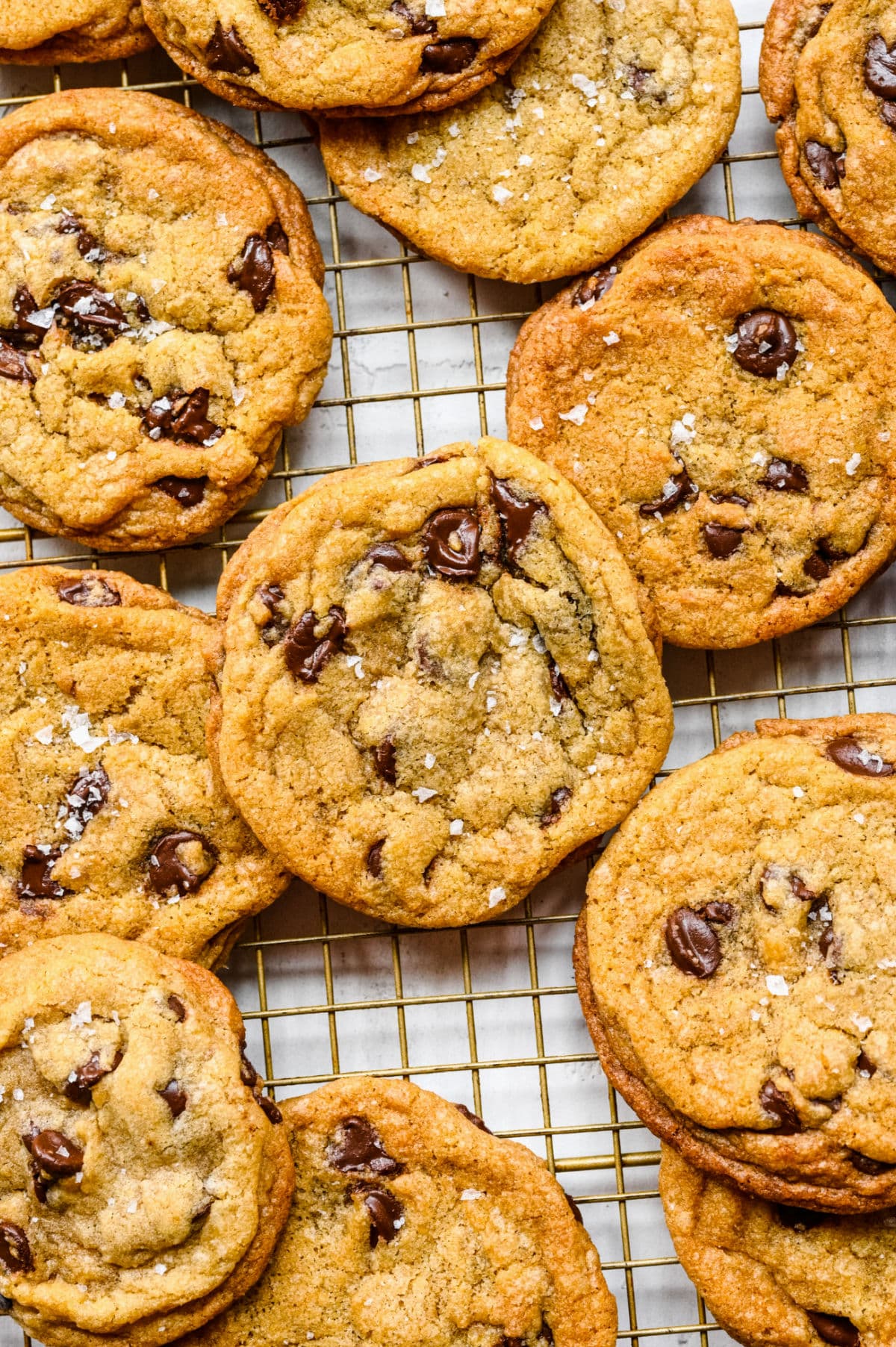 🍪 Chocolate Chip Cookie_0